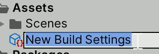 Rename Asset